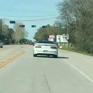 Meet your Posher, Frank